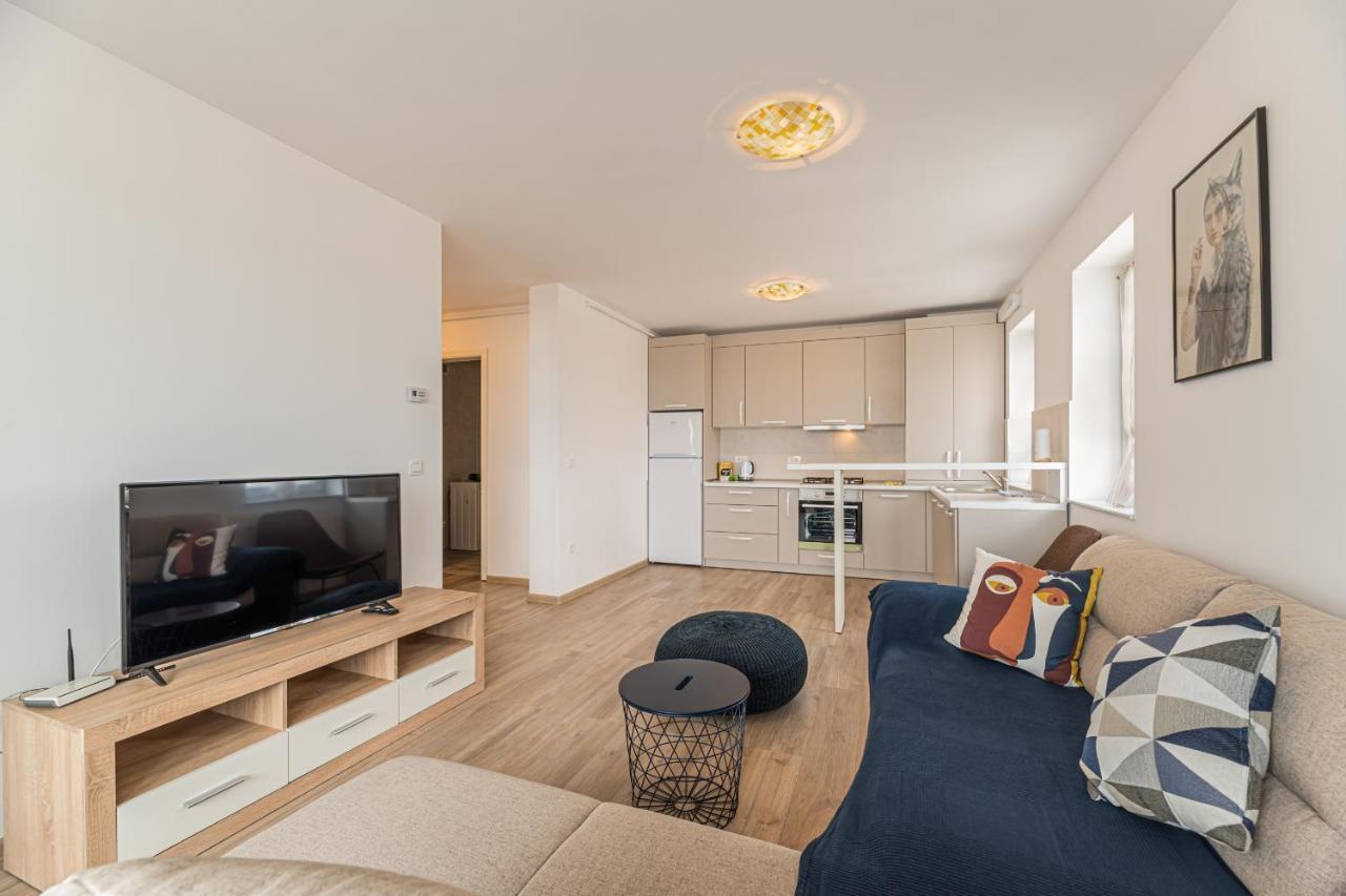 Coresi Modern Apartment Braşov Eksteriør bilde